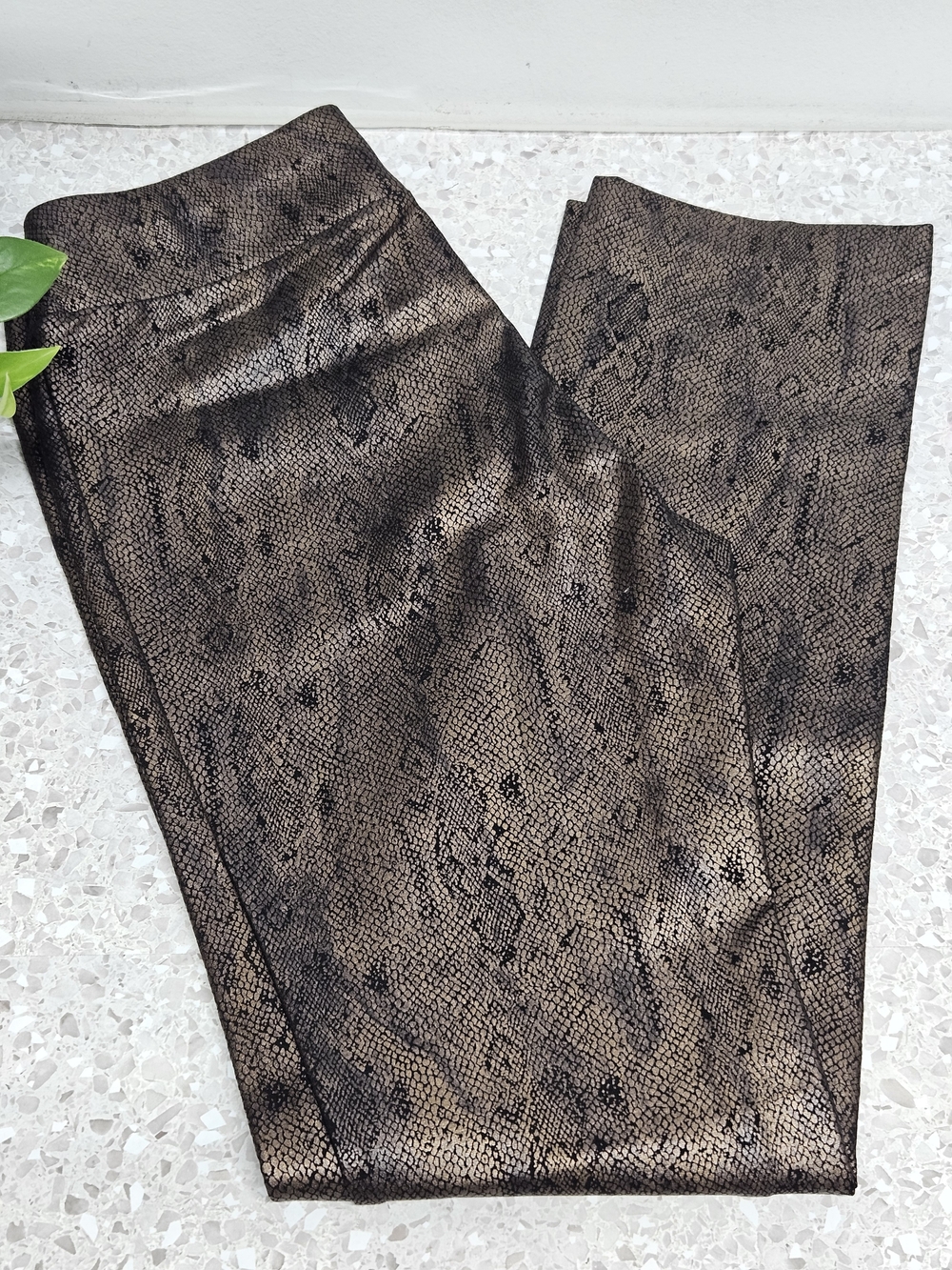 LG Lena Gabrielle Pull On Ponte Pants Size 6 Python Print 4 Way Stretch Edgy